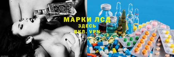 мяу мяу мука Михайловка