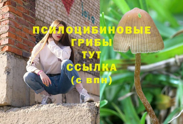 мяу мяу мука Михайловка